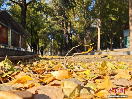 �S��54·��܉�܇�ؾ��h(hu��n)���������Σ���߅�L(f��ng)ò�����������S���~䁝M·�档���� ���z