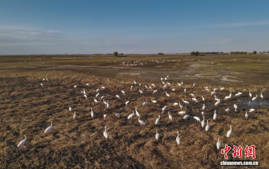 10��16�����ڼ���ĪĪ���(gu��)�Ҽ�(j��)��Ȼ���o(h��)�^(q��)��(n��i)���Q����Ϣ��(�o(w��)�˙C(j��)��Ƭ)�w��� �z