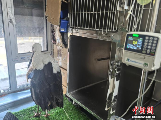 �܂��Ė|�����X���ڽ���ݔҺ�ί�����ʯ���� �z