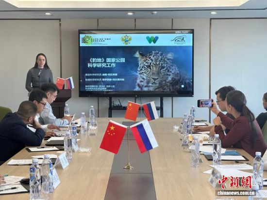 ���_˹���ҷ������o(h��)�|������(j��ng)��������� �z