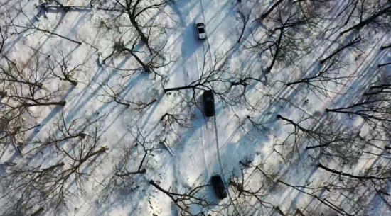 ���c���{܇��Խɭ���� �Ժ���ί���������D