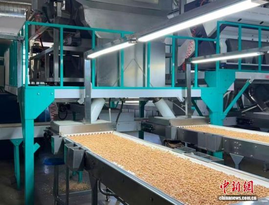 �������a(ch��n)����(�L�����P(gu��n)���D)