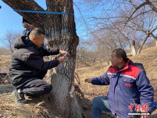 �����ˆT���ڌ���������������w�z�������� �z